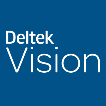 Deltek Vision